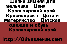 Шапка зимняя для мальчика › Цена ­ 500 - Красноярский край, Красноярск г. Дети и материнство » Детская одежда и обувь   . Красноярский край